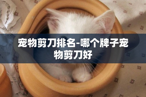 寵物剪刀排名-哪個牌子寵物剪刀好