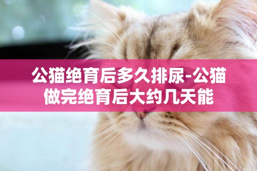 公貓絕育后多久排尿-公貓做完絕育后大約幾天能