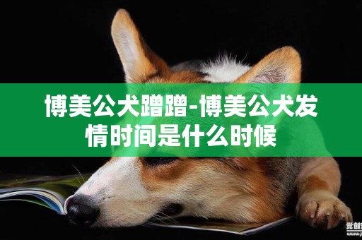 博美公犬蹭蹭-博美公犬發情時間是什么時候