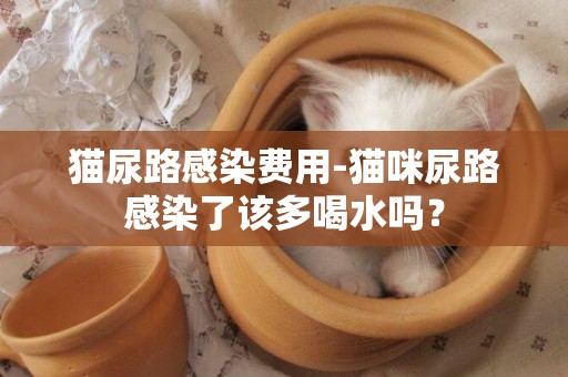 貓尿路感染費用-貓咪尿路感染了該多喝水嗎？