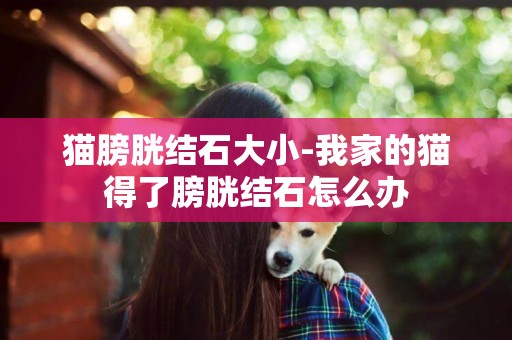 貓膀胱結石大小-我家的貓得了膀胱結石怎么辦