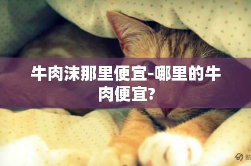 牛肉沫那里便宜-哪里的牛肉便宜?