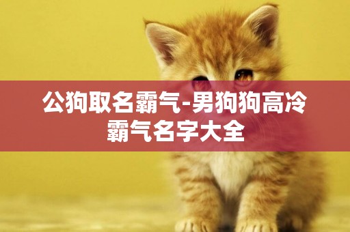 公狗取名霸氣-男狗狗高冷霸氣名字大全