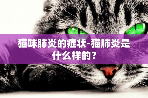 貓咪肺炎的癥狀-貓肺炎是什么樣的？