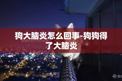 狗大腦炎怎么回事-狗狗得了大腦炎