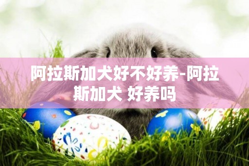 阿拉斯加犬好不好養-阿拉斯加犬 好養嗎