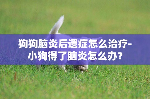 狗狗腦炎后遺癥怎么治療-小狗得了腦炎怎么辦？