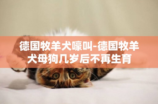 德國牧羊犬嚎叫-德國牧羊犬母狗幾歲后不再生育