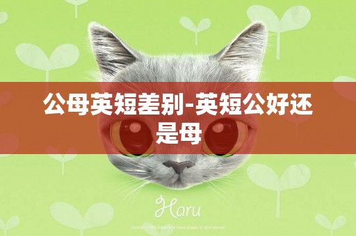 公母英短差別-英短公好還是母