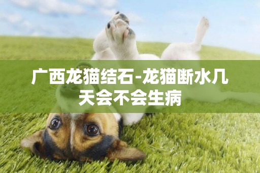 廣西龍貓結石-龍貓斷水幾天會不會生病