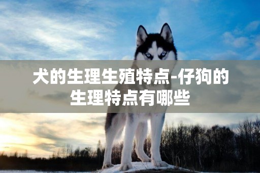 犬的生理生殖特點-仔狗的生理特點有哪些