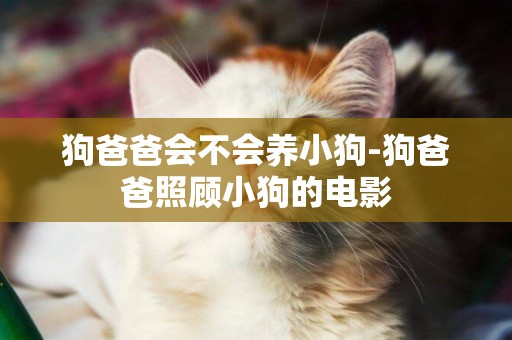 狗爸爸會不會養小狗-狗爸爸照顧小狗的電影