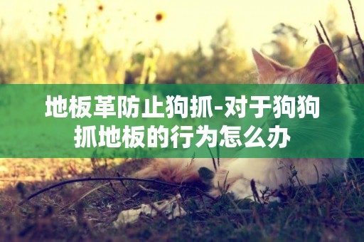 地板革防止狗抓-對于狗狗抓地板的行為怎么辦