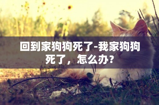 回到家狗狗死了-我家狗狗死了，怎么辦？
