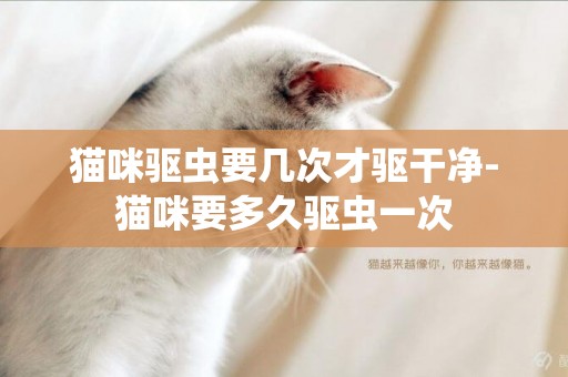 貓咪驅蟲要幾次才驅干凈-貓咪要多久驅蟲一次