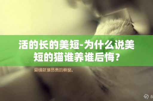 活的長的美短-為什么說美短的貓誰養誰后悔？
