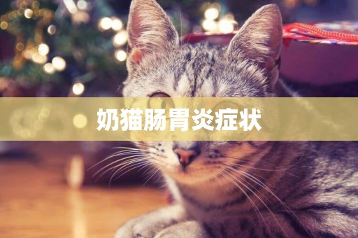 奶貓腸胃炎癥狀