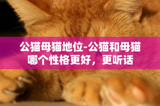 公貓母貓地位-公貓和母貓哪個性格更好，更聽話