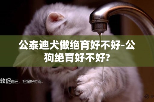 公泰迪犬做絕育好不好-公狗絕育好不好?
