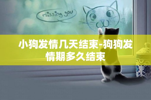 小狗發情幾天結束-狗狗發情期多久結束