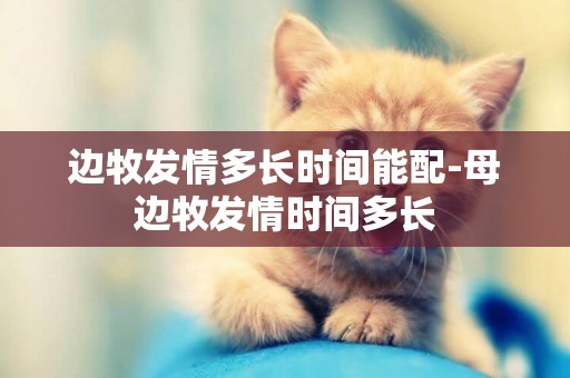 邊牧發情多長時間能配-母邊牧發情時間多長