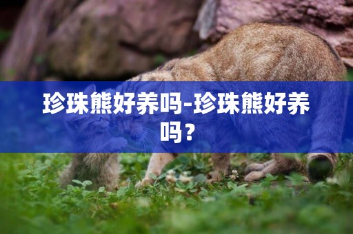 珍珠熊好養嗎-珍珠熊好養嗎？