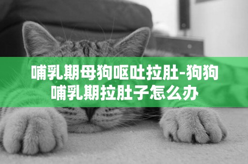 哺乳期母狗嘔吐拉肚-狗狗哺乳期拉肚子怎么辦