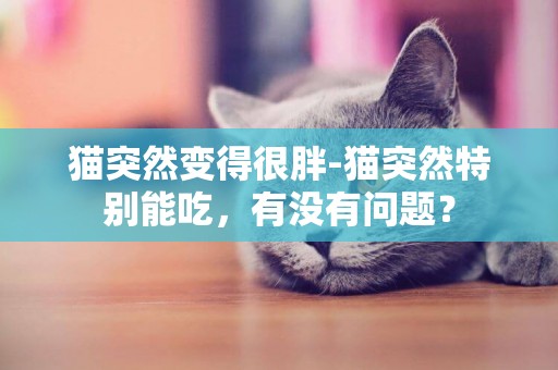 貓突然變得很胖-貓突然特別能吃，有沒有問題？