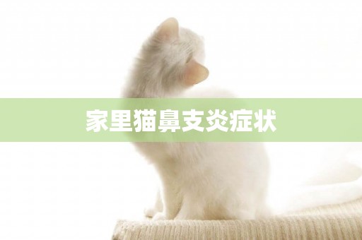家里貓鼻支炎癥狀