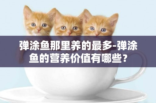 彈涂魚那里養的最多-彈涂魚的營養價值有哪些？
