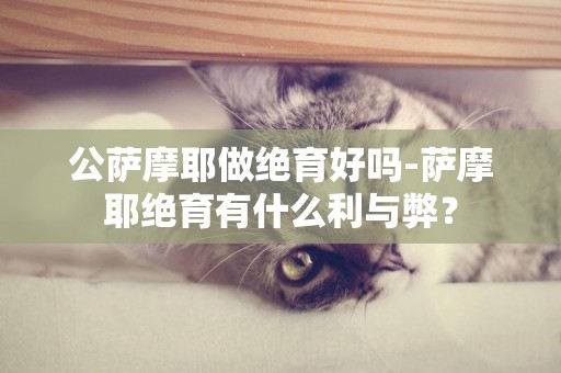 公薩摩耶做絕育好嗎-薩摩耶絕育有什么利與弊？