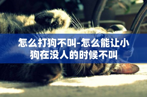 怎么打狗不叫-怎么能讓小狗在沒人的時候不叫