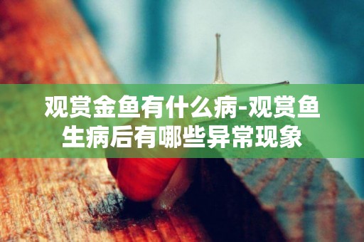 觀賞金魚有什么病-觀賞魚生病后有哪些異常現象