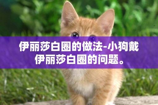 伊麗莎白圈的做法-小狗戴伊麗莎白圈的問題。