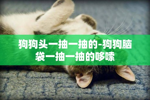 狗狗頭一抽一抽的-狗狗腦袋一抽一抽的哆嗦