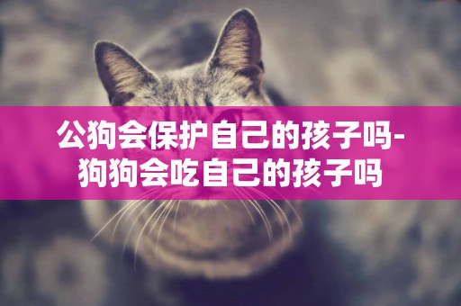 公狗會保護自己的孩子嗎-狗狗會吃自己的孩子嗎