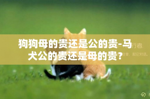 狗狗母的貴還是公的貴-馬犬公的貴還是母的貴？
