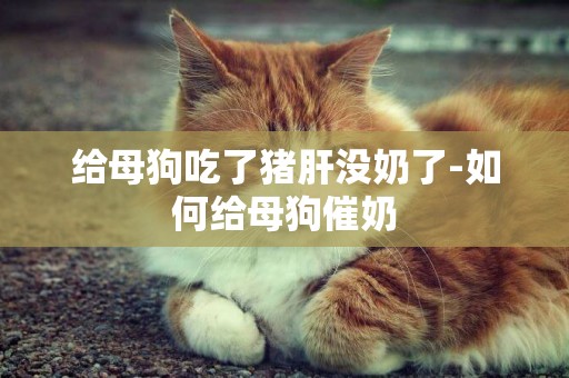 給母狗吃了豬肝沒奶了-如何給母狗催奶