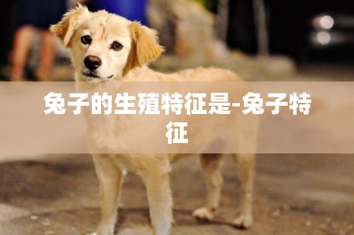 兔子的生殖特征是-兔子特征