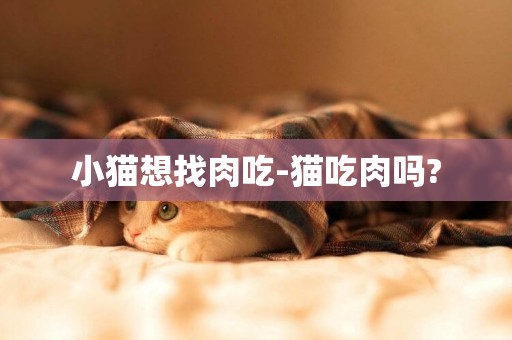 小貓想找肉吃-貓吃肉嗎?