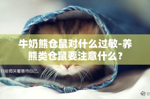 牛奶熊倉鼠對什么過敏-養熊類倉鼠要注意什么？