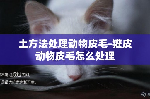 土方法處理動物皮毛-獾皮動物皮毛怎么處理