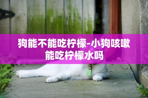 狗能不能吃檸檬-小狗咳嗽能吃檸檬水嗎