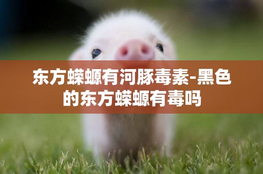 東方蠑螈有河豚毒素-黑色的東方蠑螈有毒嗎