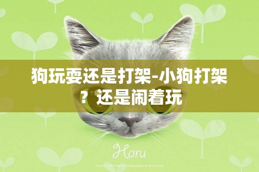 狗玩耍還是打架-小狗打架？還是鬧著玩