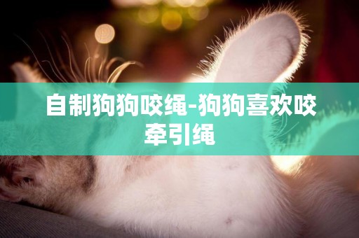 自制狗狗咬繩-狗狗喜歡咬牽引繩