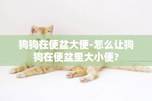 狗狗在便盆大便-怎么讓狗狗在便盆里大小便?