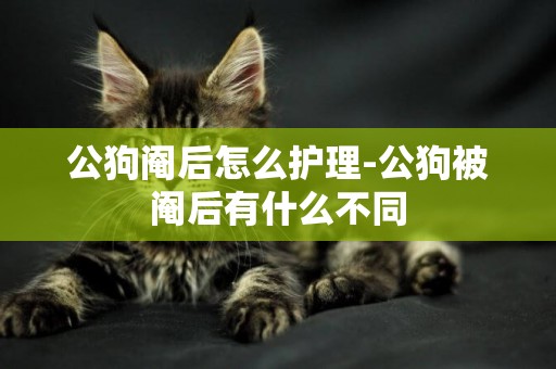 公狗閹后怎么護理-公狗被閹后有什么不同