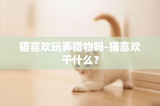 貓喜歡玩弄獵物嗎-貓喜歡干什么？