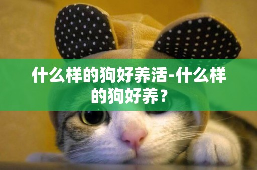 什么樣的狗好養活-什么樣的狗好養？